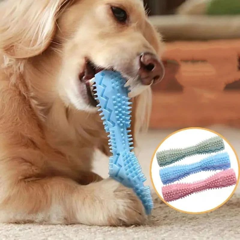 Bastão Durável Para Mastigar Cachorro , Escova De Dentes Limpeza E Massagem Dos-Brinquedo Animais De Estimação De Borrac
