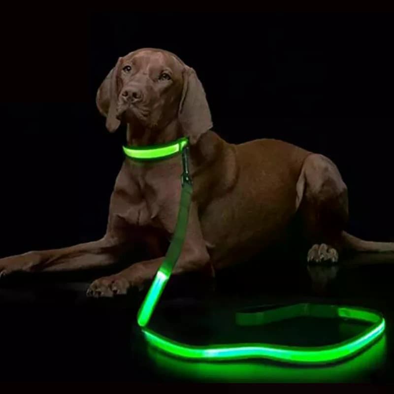 Trela Luminosa para Cachorro com Luz LED, Guia de Corda Luminosa para Cachorro, Trela de Segurança para Cachorro,