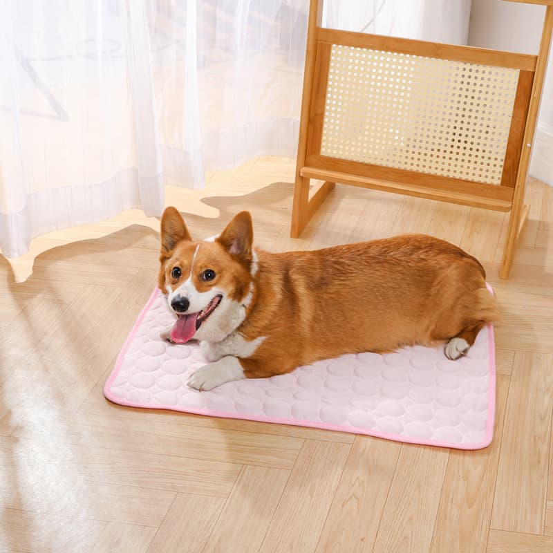 Tapete De Resfriamento Para Animais De Estimação Cama Portátil Com Almofada De Seda Gelada Cães E Gatos