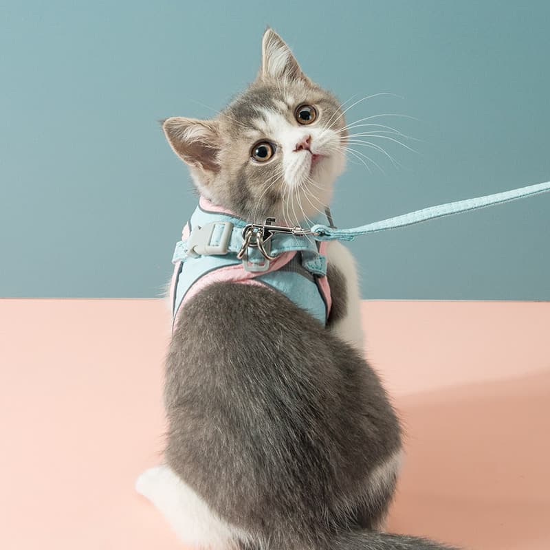 Conjunto de Peitoral e Guia Refletivo para Animais de Estimação, Colete Antiescape para Cães e Gatos Pequenos,