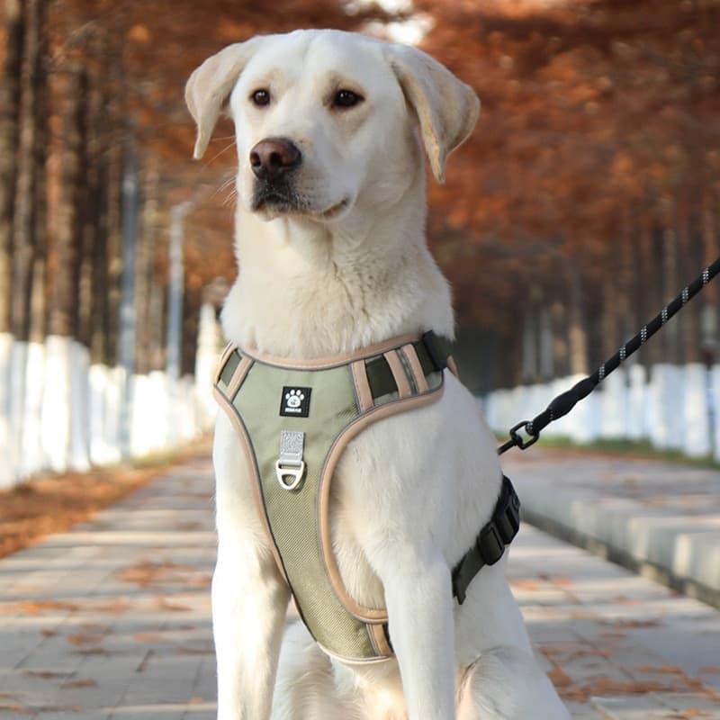 Arnês Reflexivo Antitração para Cachorros, Colete Estilo Peitoral, Arnês Peitoral Pet Antiexplosivo, Trela para
