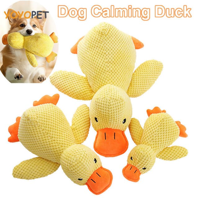 Brinquedo para Cães QuackChew Pato com Apito e Design de Escova de Dentes para Higiene Bucal Interativa