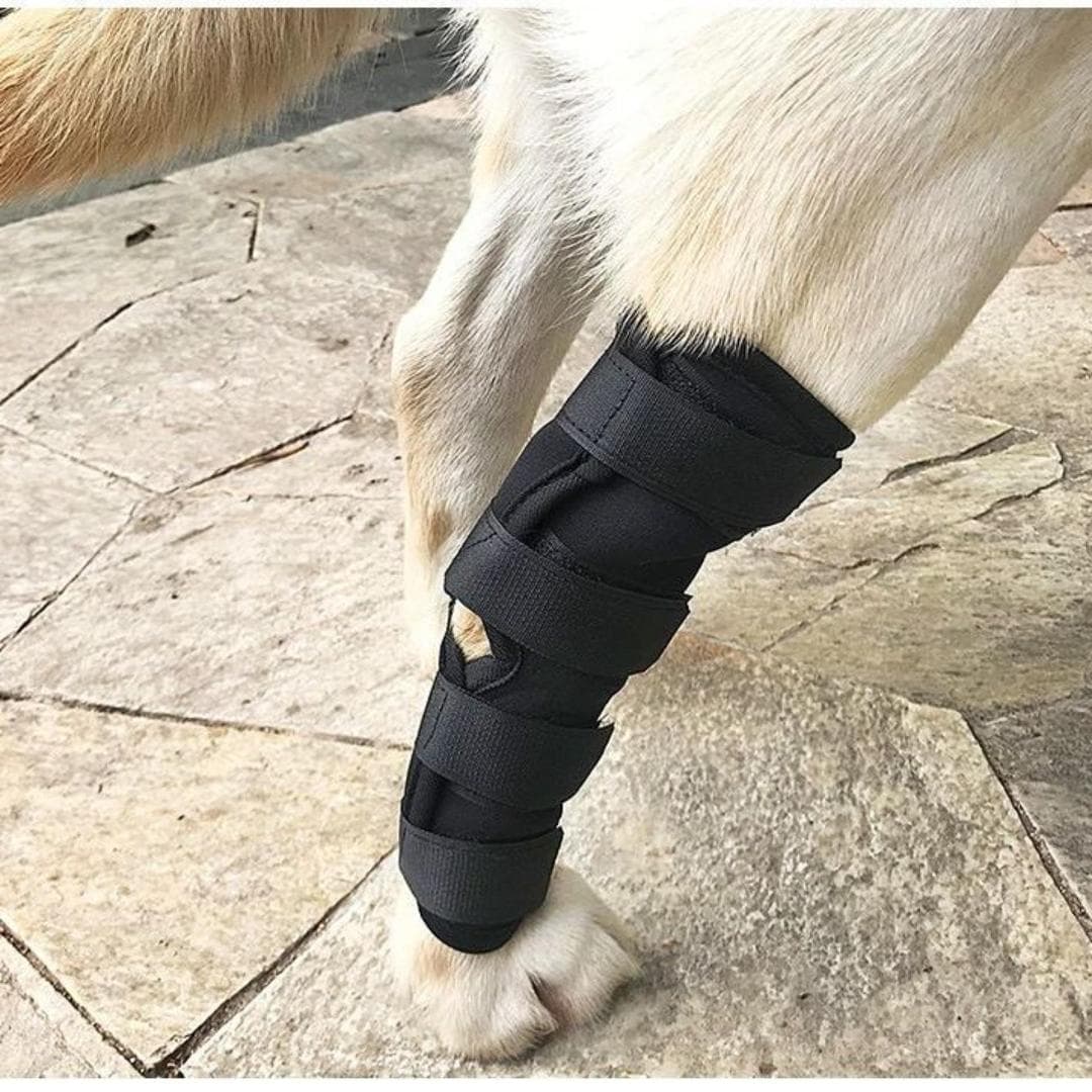 Joelheiras Para Cães Post Op Rehab Mangas Pernas De Animais De Estimação Ao Ar Livre Gatos , Sapatos Pato kasut kucing S