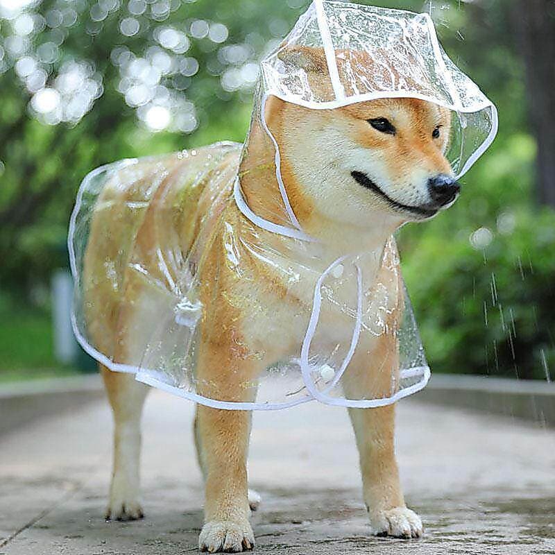 Capa de chuva para cachorro Teddy Shiba Inu Dedicado Cão Pequeno Golden Retriever Médio Cachorro Poncho À Prova D 'Água