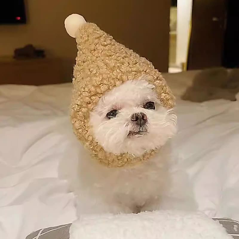 Chapéu de cachorro inverno orelhas de orvalho pequeno cão inverno pelúcia maltês assistente cocar casa foto influenciado