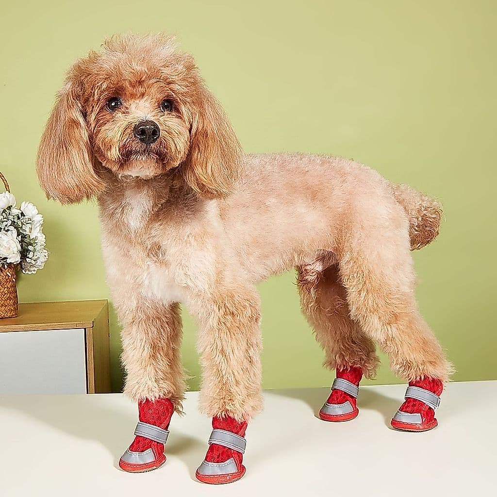 Sapatos para cães primavera verão Teddy pequeno cão capa de sapato de sola macia Bichon Pomeranian respirável não-queda