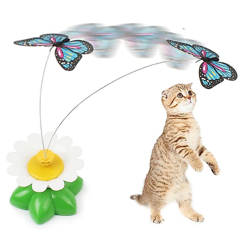 Flores ao redor, animais de estimação, brinquedos, gatos dançando, borboletas, varinhas de provocar gatos