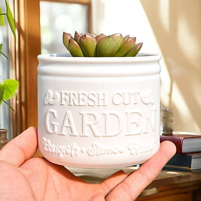 HENGHOME Vaso De Flores Redondo Plantadores Plantas Escritório Desktop Varanda Casa Decoração Do Jardim Ao Ar Livre Novo