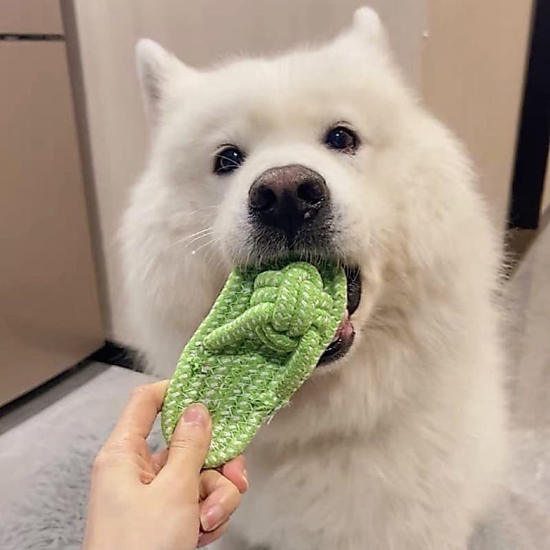 Brinquedo De Mastigar Para Cachorro Pequeno Kelln Com Peso Leve Trançado Filhotes Dentição Aderência Confortável Brincar