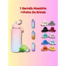1Garrafa/PolvoBrinde 2L Squeeze Envio Aleatório das Cores