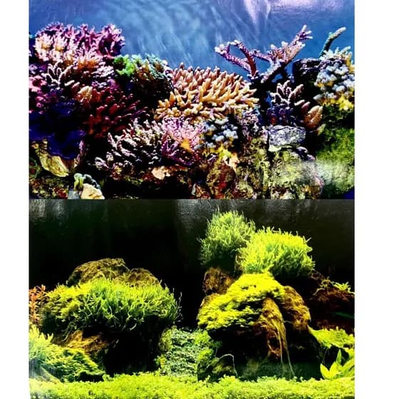 Ocean Tech Painel De Fundo P/ Aquario C66/c67 50cm - Metro