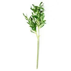 Planta Artificial - Mart