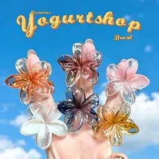 Kit 3-12 Pcs Presilha Piranha Flor Transparente De Cabelo Mini Pequeno Acrilico 4cm Verão Aestheric Grampo Summer Praia