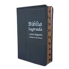 Bíblia Evangélica com  Palavras de Jesus em Vermelho com Harpa e Corinhos Falas de Deus em Azul