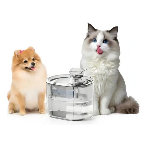 Fonte Agua Bebedouro Filtro Grande 2,2l Para Gatos Cães Pets 127/220v Transparente