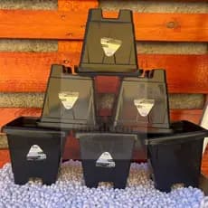 Kit 5 - 10 Unidades Vaso Quadrado de plástico para plantas Preto P de 2L Horta Planta Casa Jardinagem