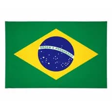 Kit 2 Bandeira Brasil Decorativa Caminhao Protesto Esporte Oficial Torcedor Diretita Manifestação