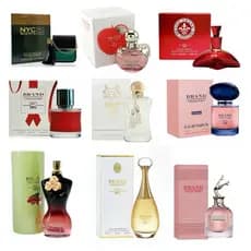 Perfume Miniatura 25ml Feminino Masculino Brand Collection Presente Portátil Bolsa Viagem