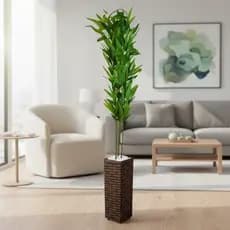 Bambu Artificial Alto 1,3m com Vaso Decorativo Decoração Natural Toque Real Premium