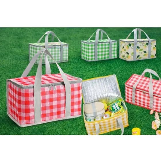 Bolsa Térmica Dobrável Cooler Praia Lanche Camping Piquenique 34*20*18