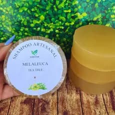 Shampoo Sólido de Melaleuca (Tea Tree) Vegano Controle de Queda, Oleosidade, Dermatite Seborreica, Coceiras e Caspa