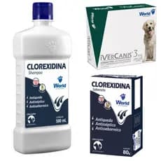 Tratamento Dermatite Canina Coceira