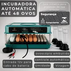 Chocadeira Automática Incubadora 48 Ovos Galinha Ovoscópio Elétrica Digital Viragem Cabo Bateria 12v