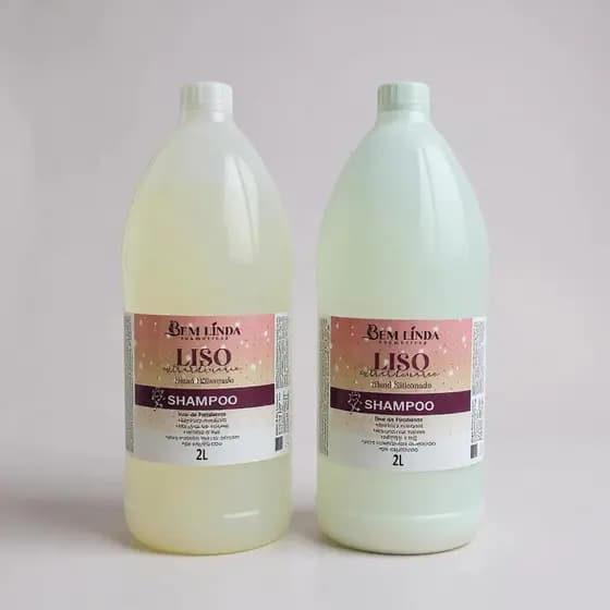 Kit Shampoo e Condicionador Liso Extraordinário 2 Litros Profissional Hidratação e Brilho Sem Sal