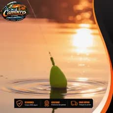 Boia Guia Lambari Nº 8 Para Pesca Flutuante – Kit com 2 Unidades