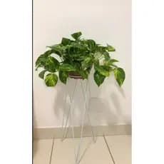 3 Supo p/Vaso Tripé Chão Aço G 35x60cm Jardinagem Preto