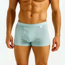 Cueca Boxer Masculina Poliamida Sem Costura Premium Aleatorias Conforto