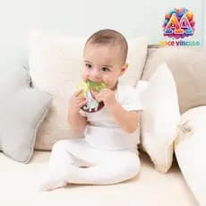 Mordedor Para Bebê de Água Coala Brinquedos para Bebê  - Buba