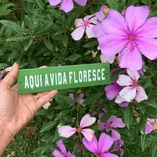 Placa Decorativa Esmaltada - Aqui a vida floresce. - Casa Toco