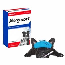 Alergocort para Cachorro e Gato Anti-inflamatório e Antialérgico  Coveli 10 comprimidos
