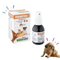 DERMOTAN Tratamento Dermatite Antimicotico Fungicida Micoses Spray Para Cães E Gatos Biofarm 100ml