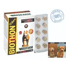Biothon Cães Suplemento Para Cachorro Vitamina para Cachorro Vitamina para Cachorro Engordar 10 Cp.