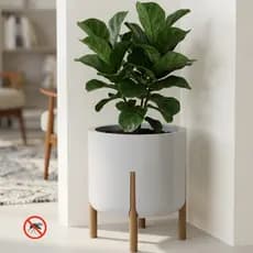 Vaso de Flor Grande Premium 16L Cachepô Fênix Anti-Dengue de plástico com Pé Madeirado