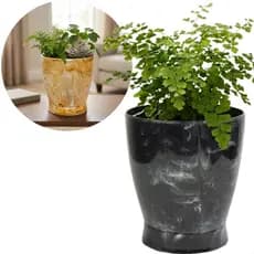 Vaso Marmorizado Pequeno Plantas e Flores Prato Rosqueável Flores Jardim Decorativo Sala