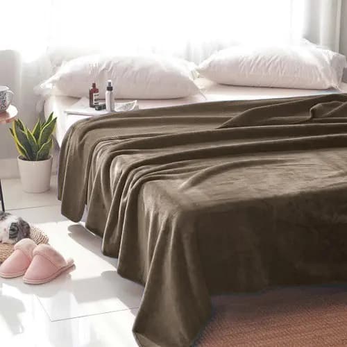 Manta Lisa Casal Plush Microfibra 180x220 Extra Macia Cores Marrom