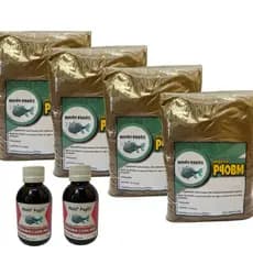 Kit Pega Mais – 4 Massas P40BM 500g + 2 Essências 100ml Banana com mel para Pesca