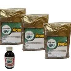 Kit Isca Tilápia 3 Massas P40BM + 1 Essência Banana com mel  Moiô Pegô