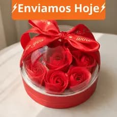 Presente Dia dos Namorados Caixa Rosa Vermelha Com Cúpula Transparente Laço Romântico Para Aliança Casal Amor Luxo