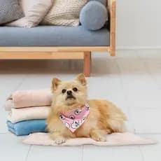 Kit 2 Mantas Confortáveis e Elegantes para Cachorros - Perfeita para Descanso e Decoração