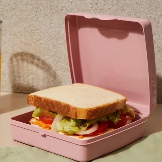 Sanduicheira Plástico Sanremo Rosa Azul Transparente Pote Box Porta Sanduiche Merenda Pão Lanche