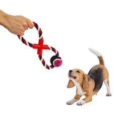 Brinquedo Corda Para Cães Puxador Com Bola Pet mordedores porte médio