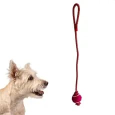 Brinquedo Bola com Corda Para Cães Puxador Pet mordedores