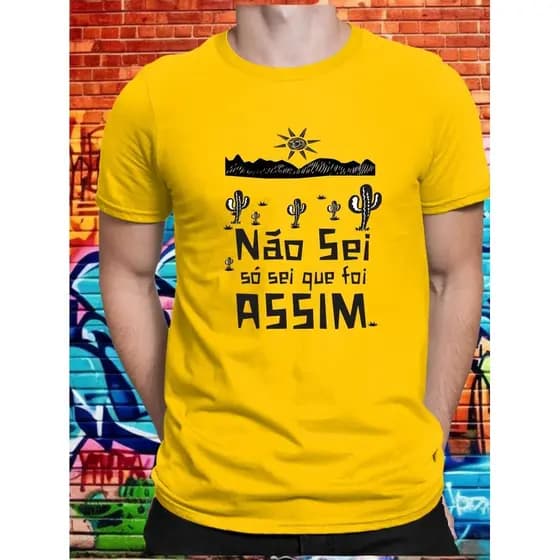 Camiseta Frase Não sei, só sei que foi Assim 100% Algodão Premium Nordeste Envio Imediato