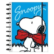 Caderno Tilidisco Universitário10 Matérias Snoopy 160 Folhas