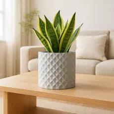 Vaso Orion de Plastico Visual Exclusivo e Moderno A:8,5cm