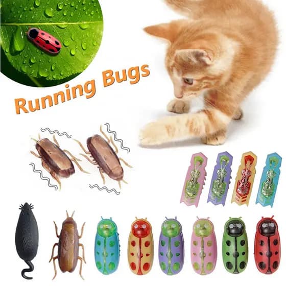 Funny Electric Bugs Cat Toy Mini Robô De Fuga Automático De Insetos Vibração Para Gatos Brinquedos De Barata Operados